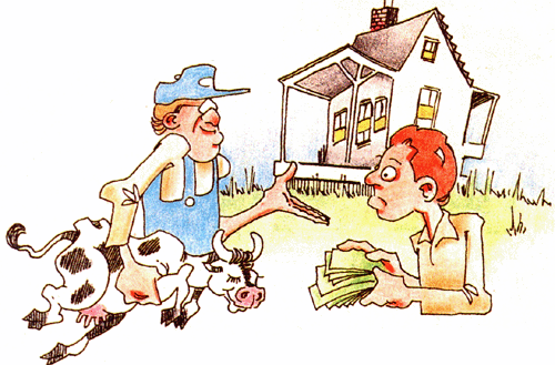 City Man Turns Farmer: The Not-So-Simple Life